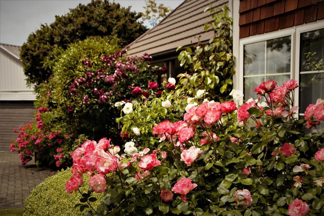The Loft Bed And Breakfast Taupo Zewnętrze zdjęcie